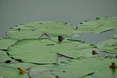 COD好消息：《使命召唤17》免费试玩周末及《战区》新封禁潮开启